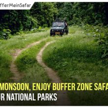 Madhya Pradesh Launches Campaign For monsoon Tourism In Buffer Zones
