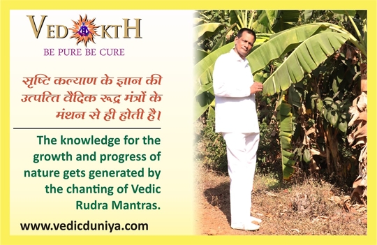 LITTLE KNOWS FACTS ABOUT VEDIC GURU RAJ KUMAR SHARMA Founder of www.vedicduniya.com